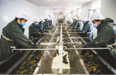 大連市 做強優勢農業產業，筑牢鄉村振興之基