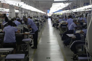 探秘大楊集團最新智能化工廠 全球一流“大連造”背后的產業升級密碼